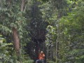 Tn DSC 4291